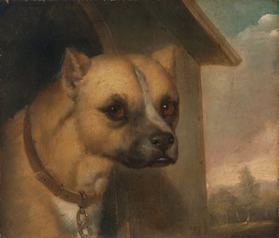 Staffordshire Bull Terrier Belonging to the Rev. John Gower by J.M. Crossland